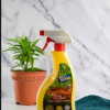 EC KLEAN MULTI PURPOSE  | REPELLANT LEMON GRASS |  SERAI SPRAY |530ML | 5KG - Image 4