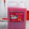 EC KLEAN GEL PINE | 10 KG - Image 2