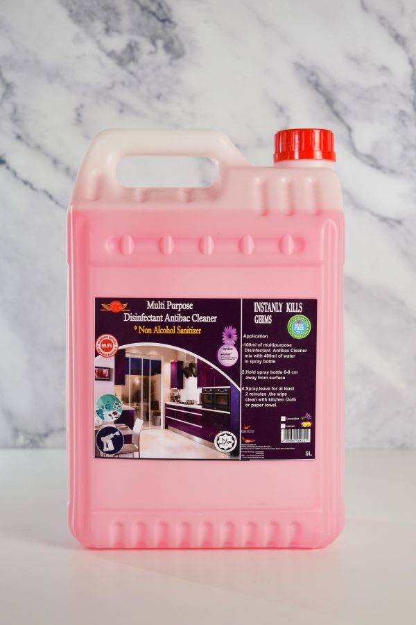 EC KLEAN - MULTIPURPOSE DISNFECTANT ANTIBAC CLEANER (GENERAL DISINFECTANT SPRAY) | 5KG