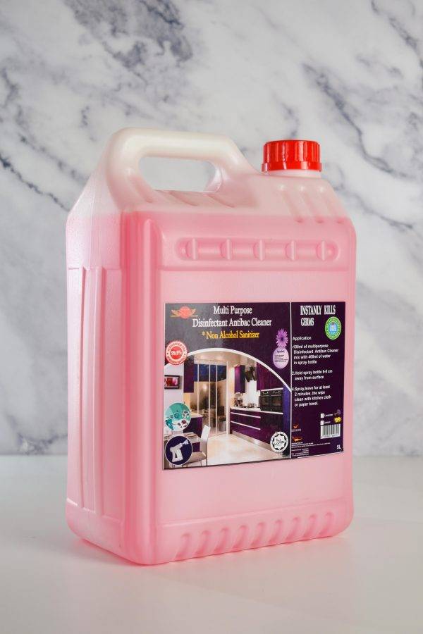 EC KLEAN - MULTIPURPOSE DISNFECTANT ANTIBAC CLEANER (GENERAL DISINFECTANT SPRAY) | 5KG - Image 2